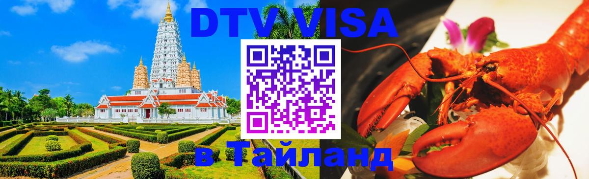 Оформление DTV визы под ключ: стоимость и тарифы, только загранпаспорт - 18.11.2025 